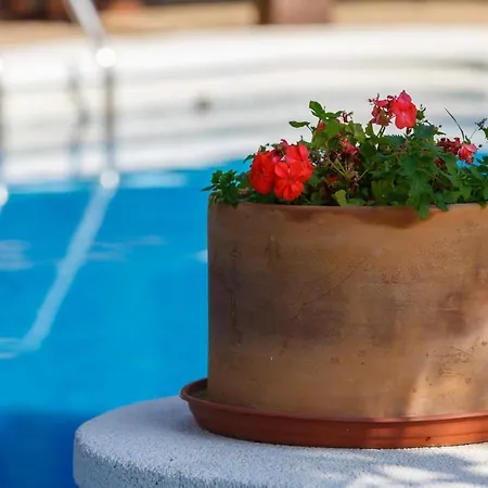 公寓 Casa Duende En De Con Piscina 尼哈尔